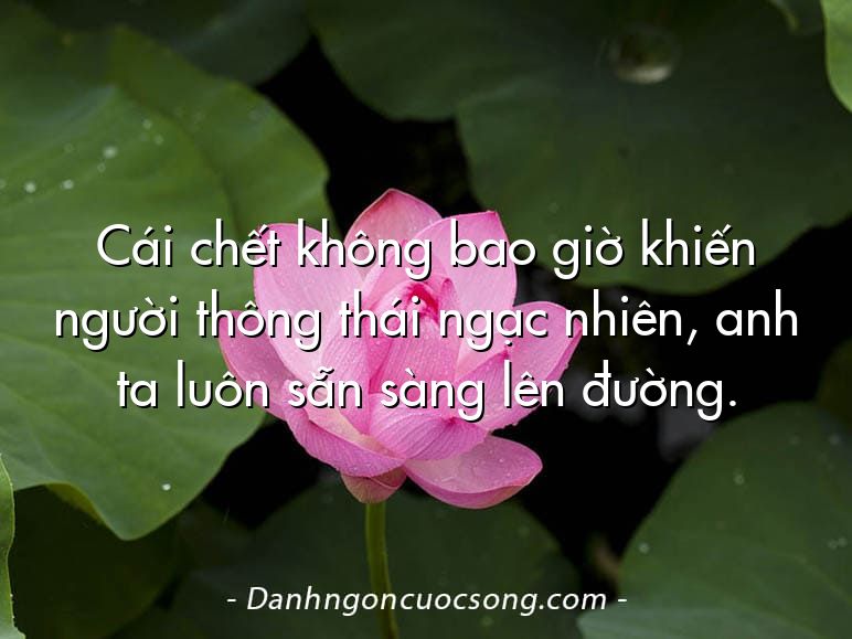 Cái chết không bao giờ khiến người thông thái ngạc nhiên, anh ta luôn sẵn sàng lên đường.