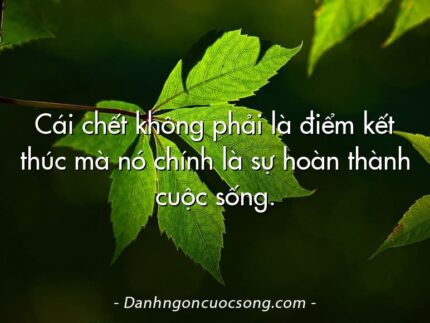 Cái chết không phải là điểm kết thúc mà nó chính là sự hoàn thành cuộc sống.