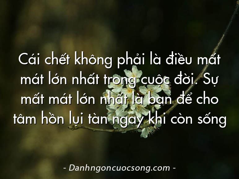 Cái chết không phải là điều mất mát lớn nhất trong cuộc đời. Sự mất mát lớn nhất là bạn để cho tâm hồn lụi tàn ngay khi còn sống