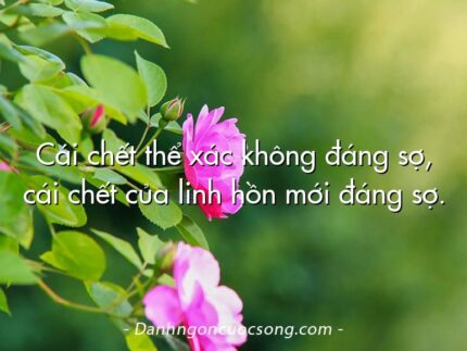 Cái chết thể xác không đáng sợ, cái chết của linh hồn mới đáng sợ.