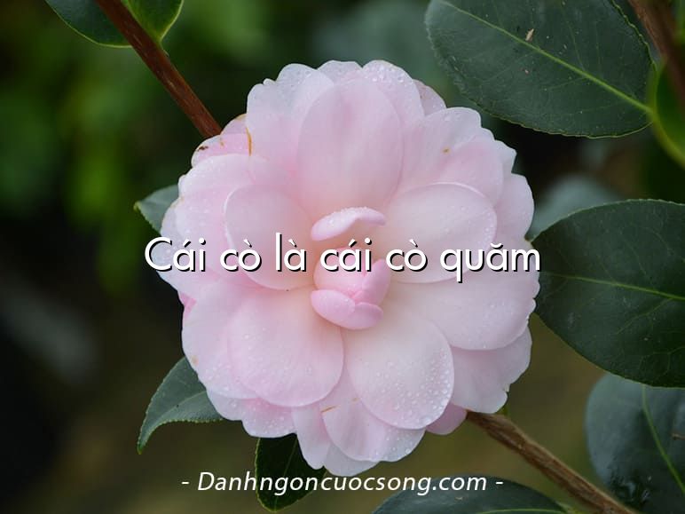 Cái cò là cái cò quăm