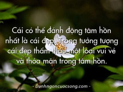 Cái có thể đánh động tâm hồn nhất là cái đẹp. Trong tưởng tượng cái đẹp thẩm thấu một loại vui vẻ và thỏa mãn trong tâm hồn.