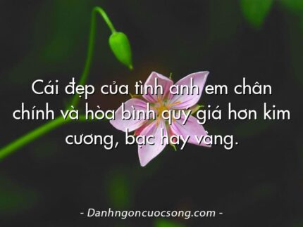 Cái đẹp của tình anh em chân chính và hòa bình quý giá hơn kim cương, bạc hay vàng.