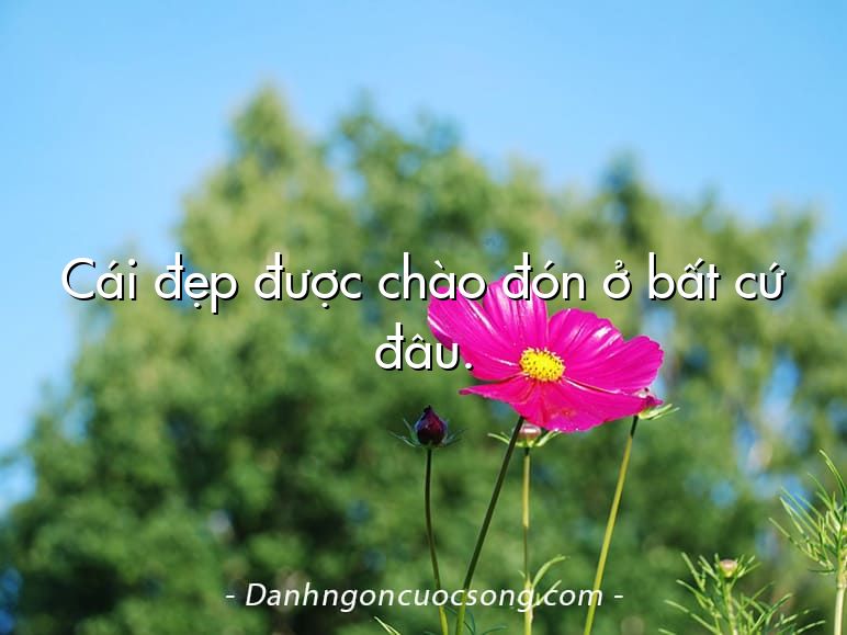 Cái đẹp được chào đón ở bất cứ đâu.