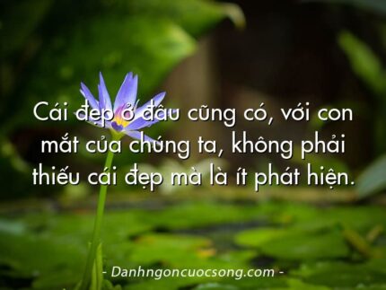 Cái đẹp ở đâu cũng có, với con mắt của chúng ta, không phải thiếu cái đẹp mà là ít phát hiện.