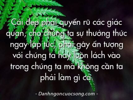 Cái đẹp phải quyến rũ các giác quan, cho chúng ta sự thưởng thức ngay lập tức, phải gây ấn tượng với chúng ta hay luồn lách vào trong chúng ta mà không cần ta phải làm gì cả.