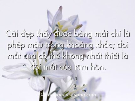 Cái đẹp thấy được bằng mắt chỉ là phép màu trong khoảng khắc; đôi mắt của cơ thể không nhất thiết là đôi mắt của tâm hồn.