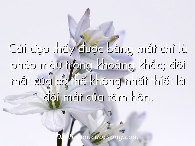 Cái đẹp thấy được bằng mắt chỉ là phép màu trong khoảng khắc; đôi mắt của cơ thể không nhất thiết là đôi mắt của tâm hồn.