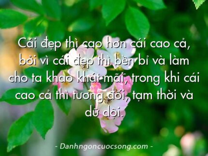 Cái đẹp thì cao hơn cái cao cả, bởi vì cái đẹp thì bền bỉ và làm cho ta khao khát mãi, trong khi cái cao cả thì tương đối, tạm thời và dữ dội.