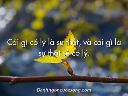 Cái gì có lý là sự thật, và cái gì là sự thật sẽ có lý.