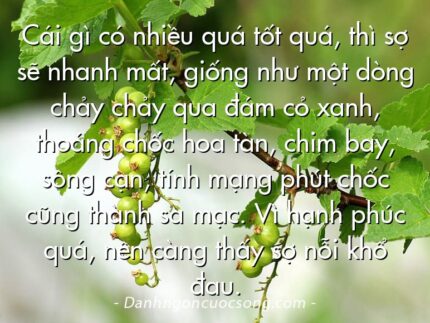 Cái gì có nhiều quá tốt quá, thì sợ sẽ nhanh mất, giống như một dòng chảy chảy qua đám cỏ xanh, thoáng chốc hoa tàn, chim bay, sông cạn, tính mạng phút chốc cũng thành sa mạc. Vì hạnh phúc quá, nên càng thấy sợ nỗi khổ đau.