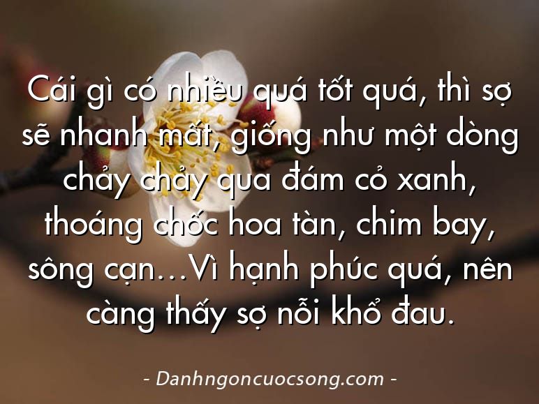 Cái gì có nhiều quá tốt quá, thì sợ sẽ nhanh mất, giống như một dòng chảy chảy qua đám cỏ xanh, thoáng chốc hoa tàn, chim bay, sông cạn…Vì hạnh phúc quá, nên càng thấy sợ nỗi khổ đau.