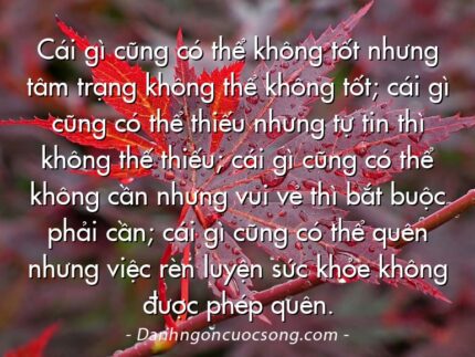 Cái gì cũng có thể không tốt nhưng tâm trạng không thể không tốt; cái gì cũng có thể thiếu nhưng tự tin thì không thế thiếu; cái gì cũng có thể không cần nhưng vui vẻ thì bắt buộc phải cần; cái gì cũng có thể quên nhưng việc rèn luyện sức khỏe không được phép quên.