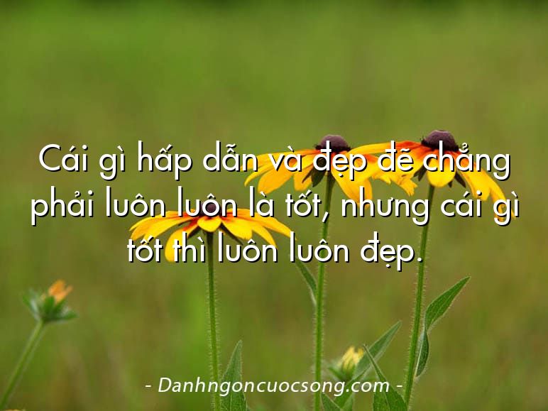 Cái gì hấp dẫn và đẹp đẽ chẳng phải luôn luôn là tốt, nhưng cái gì tốt thì luôn luôn đẹp.