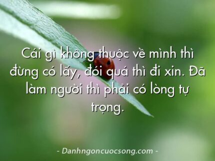 Cái gì không thuộc về mình thì đừng có lấy, đói quá thì đi xin. Đã làm người thì phải có lòng tự trọng.
