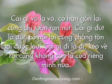 Cái gì vỡ là vỡ, có hàn gắn lại cũng chỉ toàn rạn nứt. Cái gì đứt là đứt, cố nối lại cũng chẳng tồn tại được lâu. Cái gì đi là đi, kéo về rồi cũng không còn là của riêng mình nữa.