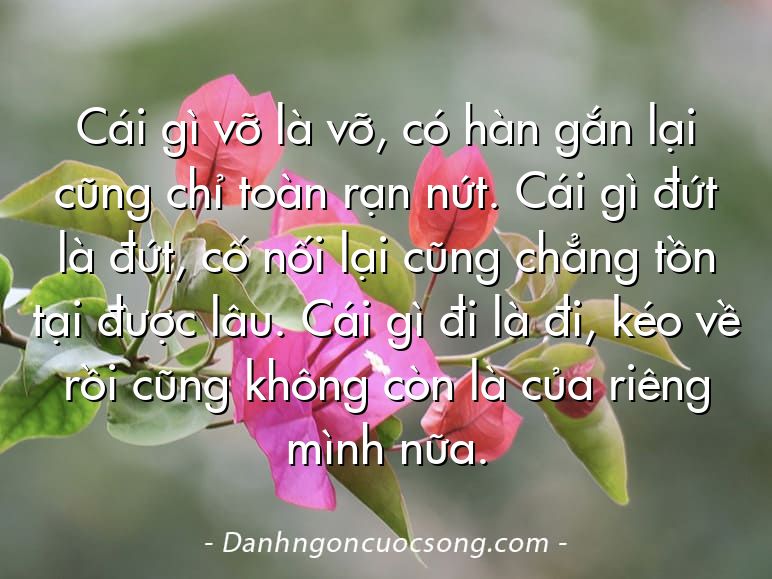 Cái gì vỡ là vỡ, có hàn gắn lại cũng chỉ toàn rạn nứt. Cái gì đứt là đứt, cố nối lại cũng chẳng tồn tại được lâu. Cái gì đi là đi, kéo về rồi cũng không còn là của riêng mình nữa.