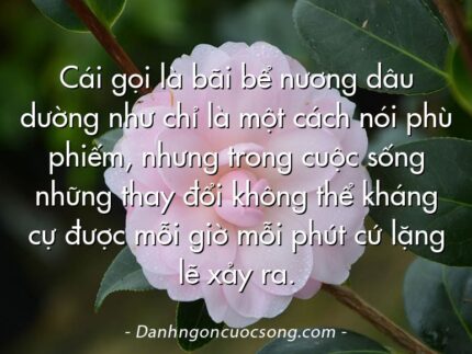Cái gọi là bãi bể nương dâu dường như chỉ là một cách nói phù phiếm, nhưng trong cuộc sống những thay đổi không thể kháng cự được mỗi giờ mỗi phút cứ lặng lẽ xảy ra.