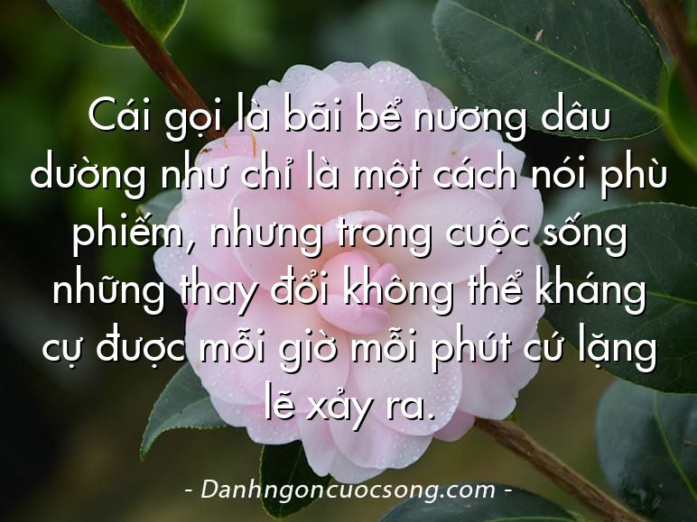 Cái gọi là bãi bể nương dâu dường như chỉ là một cách nói phù phiếm, nhưng trong cuộc sống những thay đổi không thể kháng cự được mỗi giờ mỗi phút cứ lặng lẽ xảy ra.