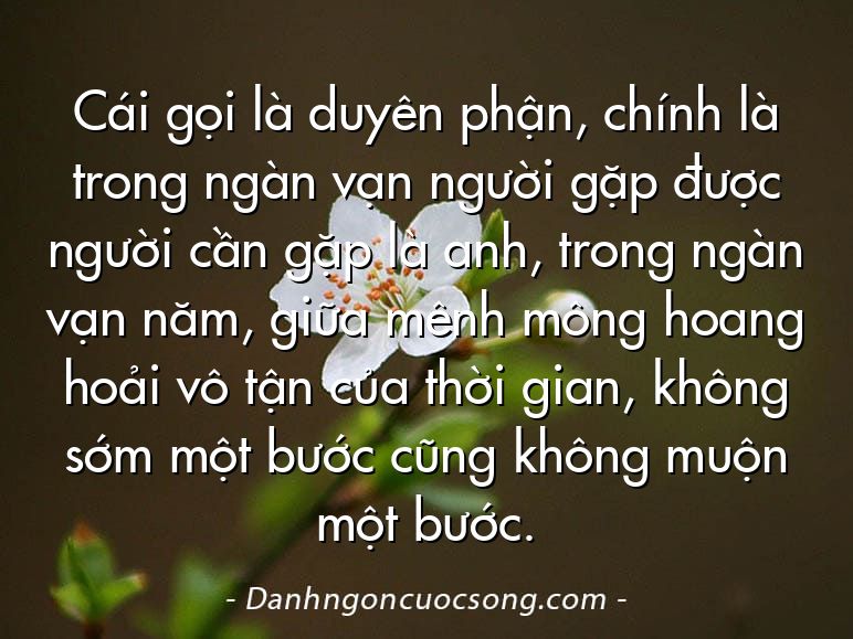Cái gọi là duyên phận, chính là trong ngàn vạn người gặp được người cần gặp là anh, trong ngàn vạn năm, giữa mênh mông hoang hoải vô tận của thời gian, không sớm một bước cũng không muộn một bước.