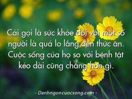 Cái gọi là sức khỏe đối với một số người là quá lo lắng đến thức ăn. Cuộc sống của họ so với bệnh tật kéo dài cũng chẳng hơn gì.