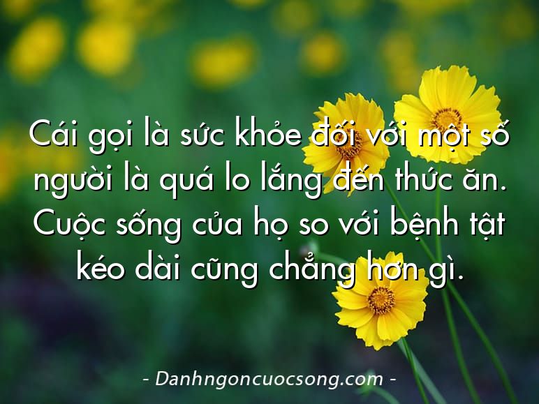 Cái gọi là sức khỏe đối với một số người là quá lo lắng đến thức ăn. Cuộc sống của họ so với bệnh tật kéo dài cũng chẳng hơn gì.