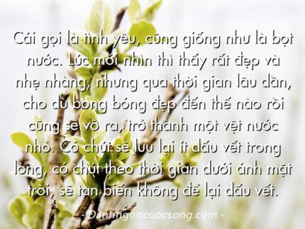 Cái gọi là tình yêu, cũng giống như là bọt nước. Lúc mới nhìn thì thấy rất đẹp và nhẹ nhàng, nhưng qua thời gian lâu dần, cho dù bong bóng đẹp đến thế nào rồi cũng sẽ vỡ ra, trở thành một vệt nước nhỏ. Có chút sẽ lưu lại ít dấu vết trong lòng, có chút theo thời gian dưới ánh mặt trời, sẽ tan biến không để lại dấu vết.