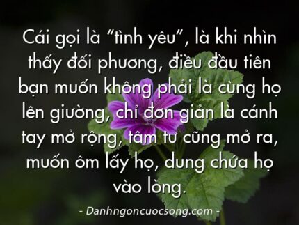 Cái gọi là “tình yêu”, là khi nhìn thấy đối phương, điều đầu tiên bạn muốn không phải là cùng họ lên giường, chỉ đơn giản là cánh tay mở rộng, tâm tư cũng mở ra, muốn ôm lấy họ, dung chứa họ vào lòng.