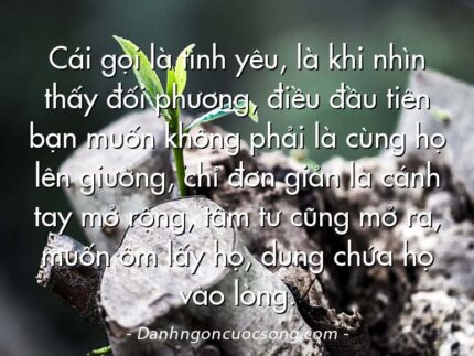 Cái gọi là tình yêu, là khi nhìn thấy đối phương, điều đầu tiên bạn muốn không phải là cùng họ lên giường, chỉ đơn giản là cánh tay mở rộng, tâm tư cũng mở ra, muốn ôm lấy họ, dung chứa họ vào lòng.