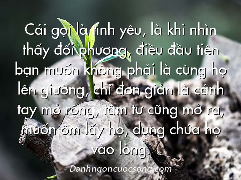 Cái gọi là tình yêu, là khi nhìn thấy đối phương, điều đầu tiên bạn muốn không phải là cùng họ lên giường, chỉ đơn giản là cánh tay mở rộng, tâm tư cũng mở ra, muốn ôm lấy họ, dung chứa họ vào lòng.