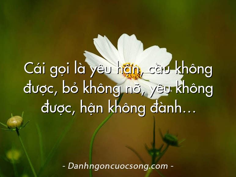 Cái gọi là yêu hận, cầu không được, bỏ không nỡ, yêu không được, hận không đành…