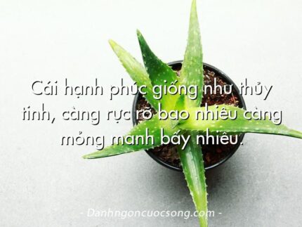Cái hạnh phúc giống như thủy tinh, càng rực rỡ bao nhiêu càng mỏng manh bấy nhiêu.