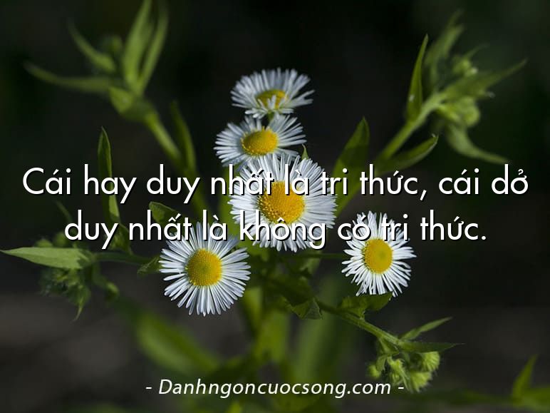 Cái hay duy nhất là tri thức, cái dở duy nhất là không có tri thức.