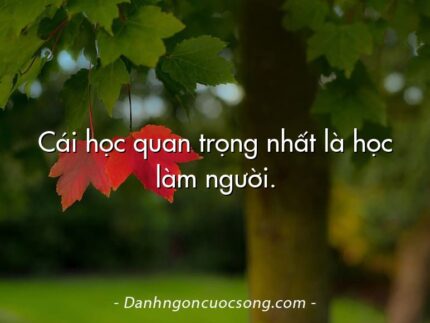 Cái học quan trọng nhất là học làm người.