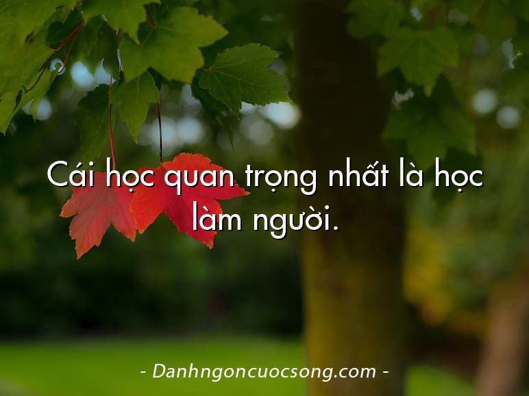 Cái học quan trọng nhất là học làm người.