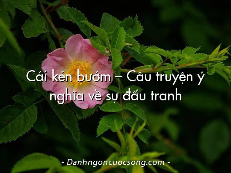 Cái kén bướm – Câu truyện ý nghĩa về sự đấu tranh