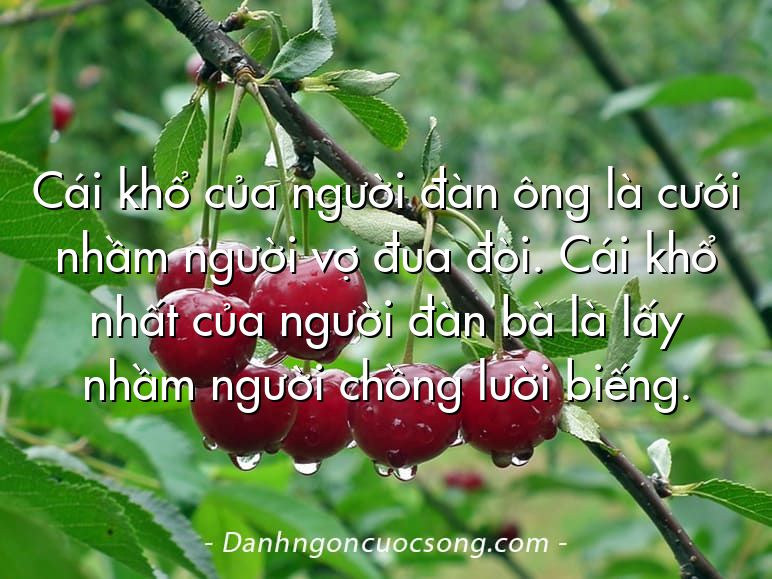 Cái khổ của người đàn ông là cưới nhầm người vợ đua đòi. Cái khổ nhất của người đàn bà là lấy nhầm người chồng lười biếng.