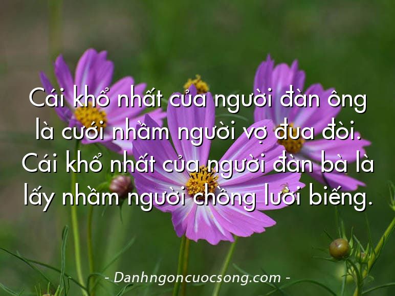 Cái khổ nhất của người đàn ông là cưới nhầm người vợ đua đòi. Cái khổ nhất của người đàn bà là lấy nhầm người chồng lười biếng.