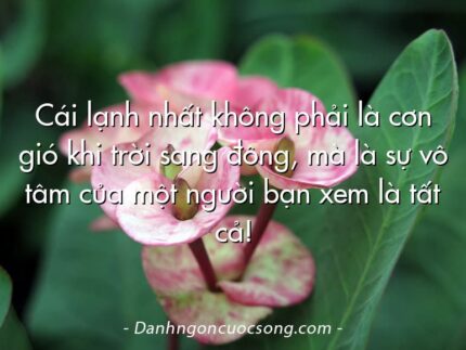 Cái lạnh nhất không phải là cơn gió khi trời sang đông, mà là sự vô tâm của một người bạn xem là tất cả!