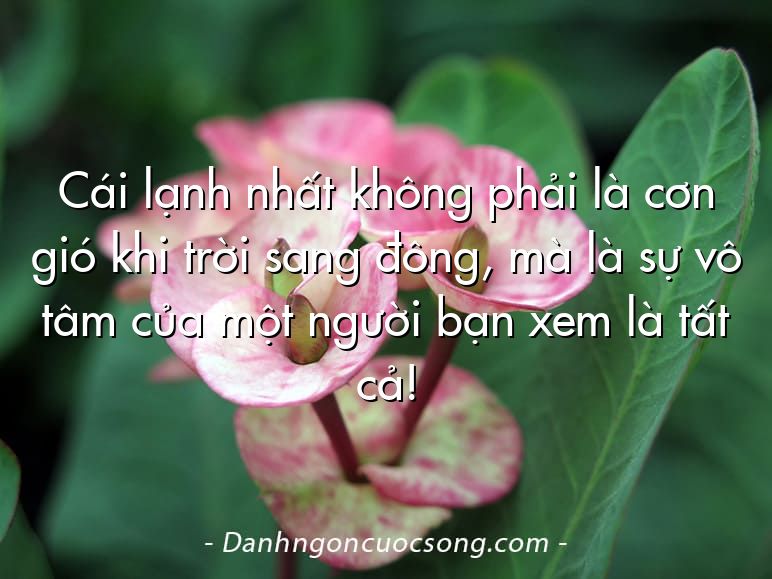 Cái lạnh nhất không phải là cơn gió khi trời sang đông, mà là sự vô tâm của một người bạn xem là tất cả!