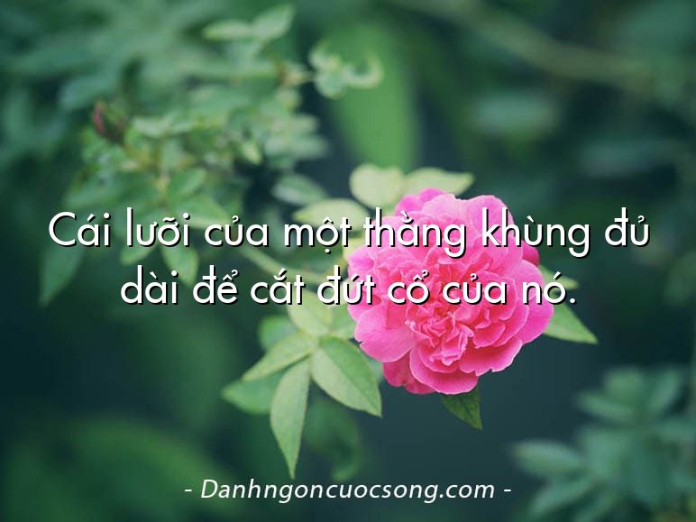 Cái lưỡi của một thằng khùng đủ dài để cắt đứt cổ của nó.