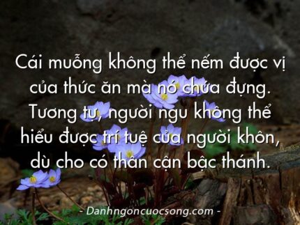 Cái muỗng không thể nếm được vị của thức ăn mà nó chứa đựng. Tương tự, người ngu không thể hiểu được trí tuệ của người khôn, dù cho có thân cận bậc thánh.
