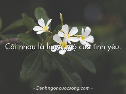 Cãi nhau là huyệt mộ của tình yêu.