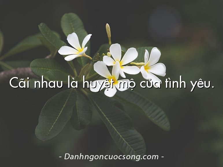 Cãi nhau là huyệt mộ của tình yêu.