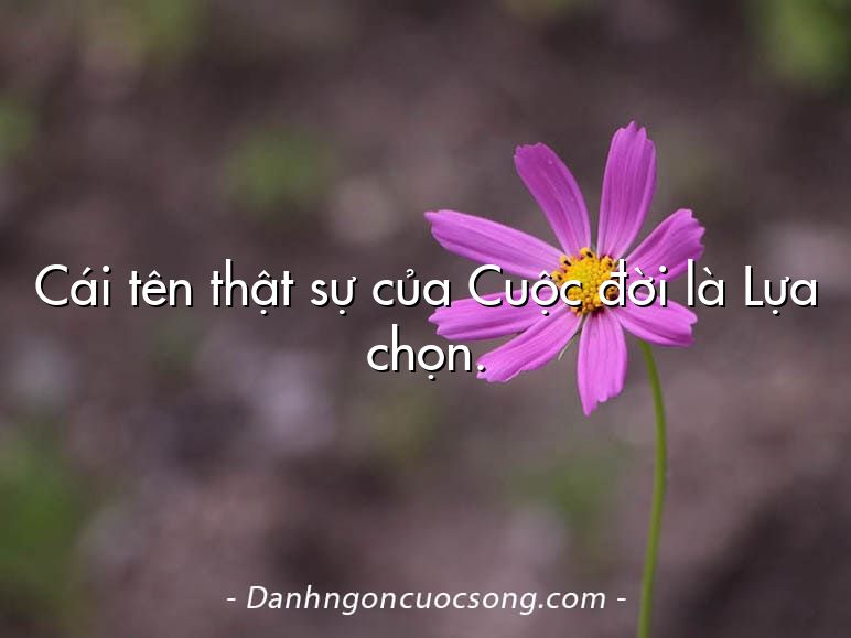 Cái tên thật sự của Cuộc đời là Lựa chọn.
