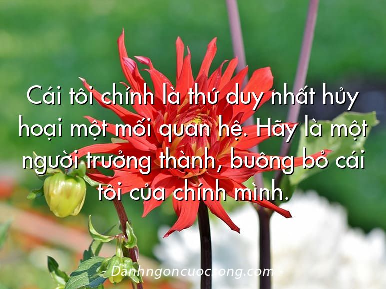 Cái tôi chính là thứ duy nhất hủy hoại một mối quan hệ. Hãy là một người trưởng thành, buông bỏ cái tôi của chính mình.