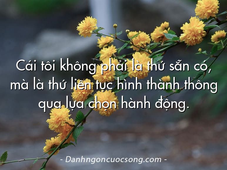 Cái tôi không phải là thứ sẵn có, mà là thứ liên tục hình thành thông qua lựa chọn hành động.