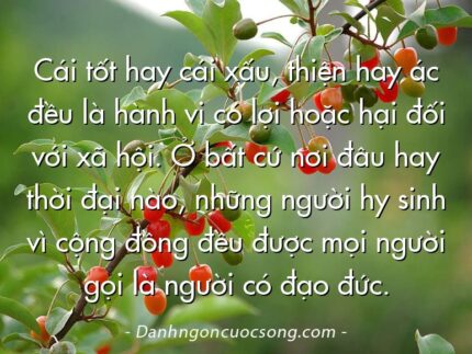 Cái tốt hay cái xấu, thiện hay ác đều là hành vi có lợi hoặc hại đối với xã hội. Ở bất cứ nơi đâu hay thời đại nào, những người hy sinh vì cộng đồng đều được mọi người gọi là người có đạo đức.