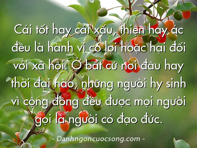 Cái tốt hay cái xấu, thiện hay ác đều là hành vi có lợi hoặc hại đối với xã hội. Ở bất cứ nơi đâu hay thời đại nào, những người hy sinh vì cộng đồng đều được mọi người gọi là người có đạo đức.