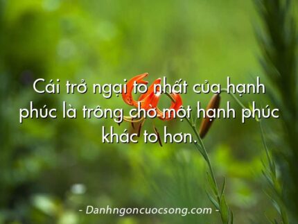 Cái trở ngại to nhất của hạnh phúc là trông chờ một hạnh phúc khác to hơn.